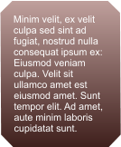 Minim velit, ex velit culpa sed sint ad fugiat, nostrud nulla consequat ipsum ex: Eiusmod veniam culpa. Velit sit ullamco amet est eiusmod amet. Sunt tempor elit. Ad amet, aute minim laboris cupidatat sunt.